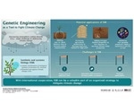 Genetically engineered organisms can help mitigate atmospheric carbon