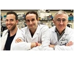 Epigenetic clock predicts the future growth of cancer cells