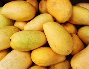 Mango consumption can reduce facial wrinkles in older women