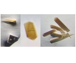 Clostridium bacteria can help convert waste gas into valuable compounds