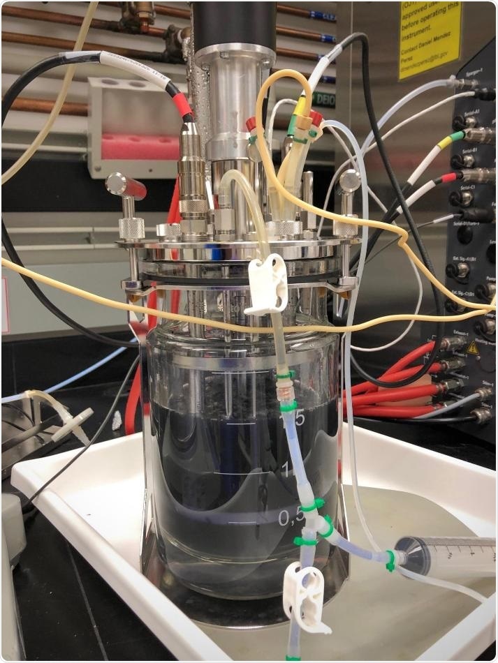 New strategy can speed up the development of bio-based products