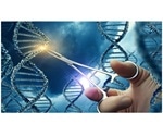 Study shows CRISPR/Cas9 system can effectively treat metastatic cancers