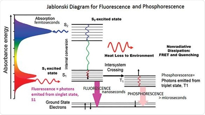 Fluorescence Spectroscopy Fluorescence Spectroscopy