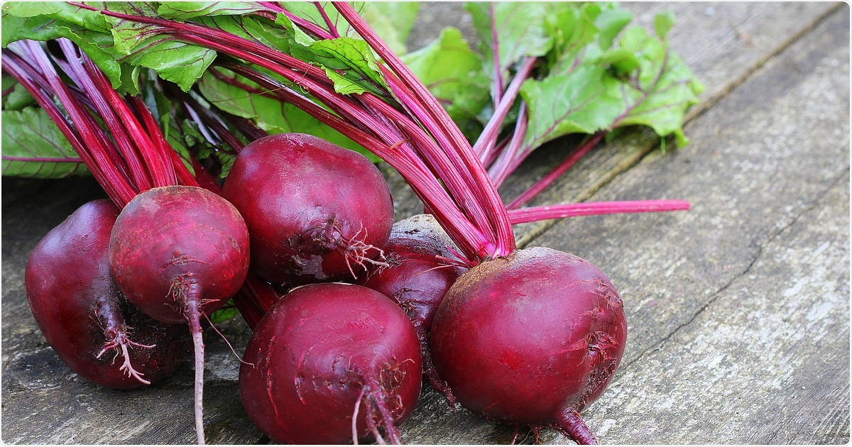 Beetroot peptide may help treat inflammatory, neurodegenerative diseases