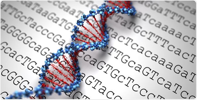 Immunogenetics Immunogenetics