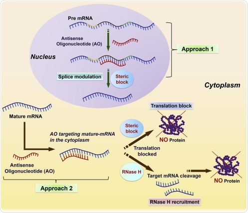 antisense oligonucleotides antisense oligonucleotides