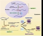 What is Antisense Technology?