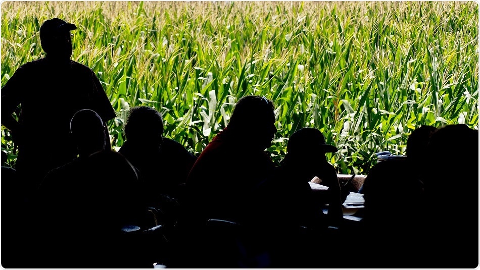 Researchers call for greater transparency on genetically modified crops