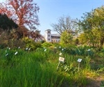 Researchers compile new taxonomic list of vascular plants