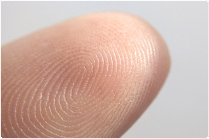 Fingerprint Fingerprint