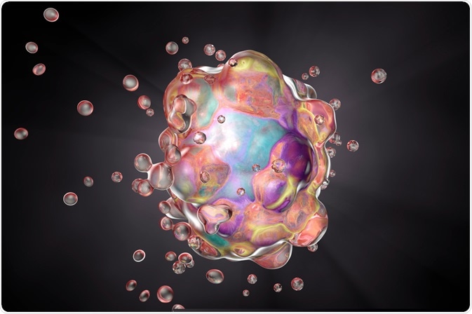 Cell Apoptosis Cell Apoptosis