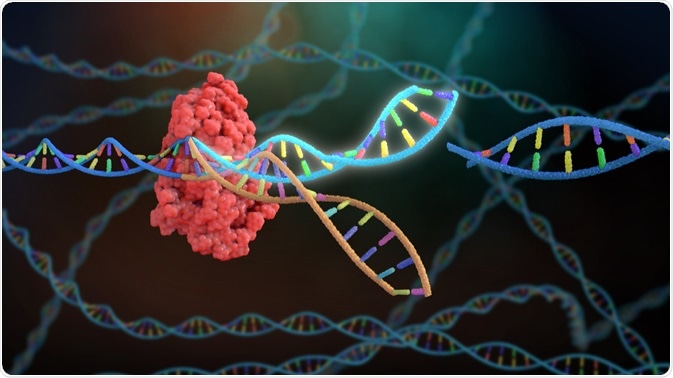 CRISPR