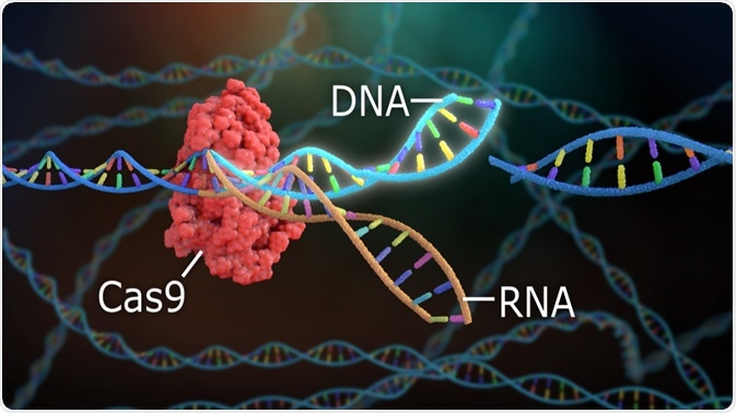 CRISPR-Cas9 Technology CRISPR-Cas9 Technology