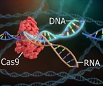 Could CRISPR be used to Create New Species?
