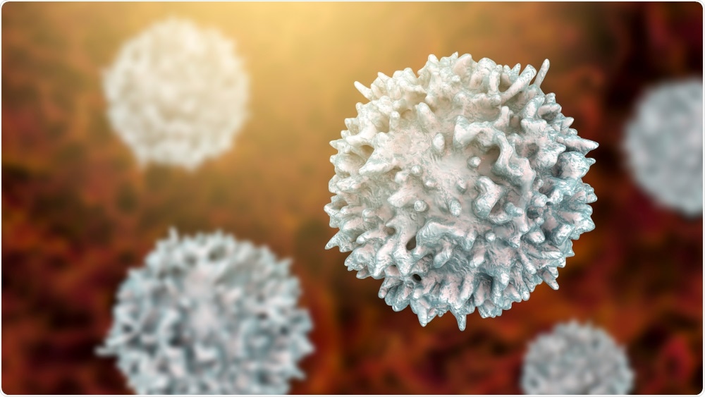 T or B Lymphocyte T or B Lymphocyte