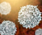 B Cell Development