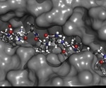 Immunogenetics: An Overview