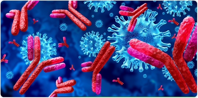 Antibodies Antibodies