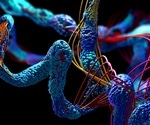 Study shows protein folding is also influenced by thermal expansion