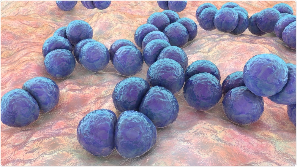 Streptococcus pneumoniae