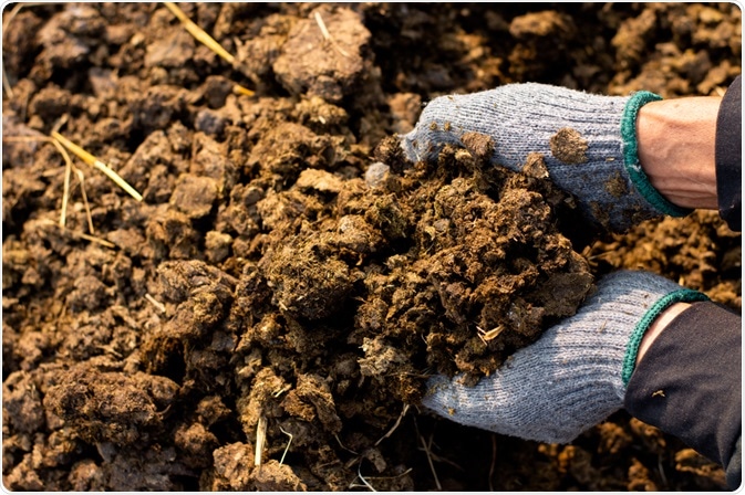 Manure Manure