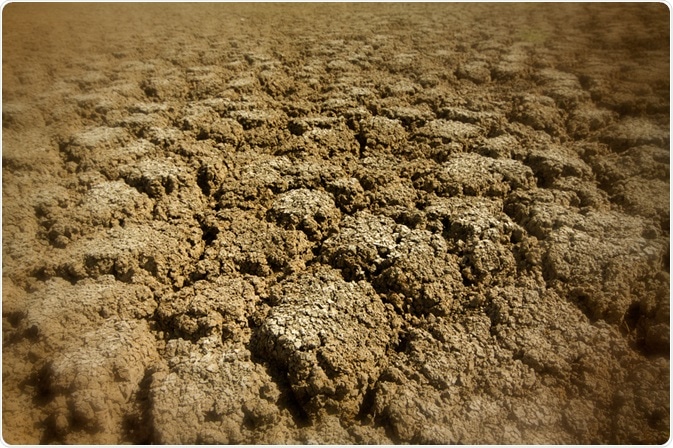 Degraded Soil Degraded Soil