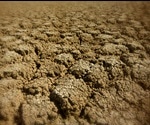 How are Microbes used to Restore Degraded Soil?