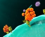 Role of Chemokines and Cytokines in Health and Disease
