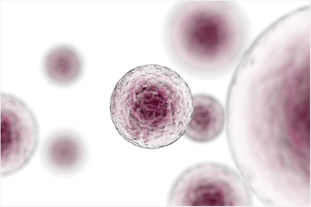 Stem Cells Stem Cells