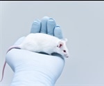 What are Humanized Immune System Models?