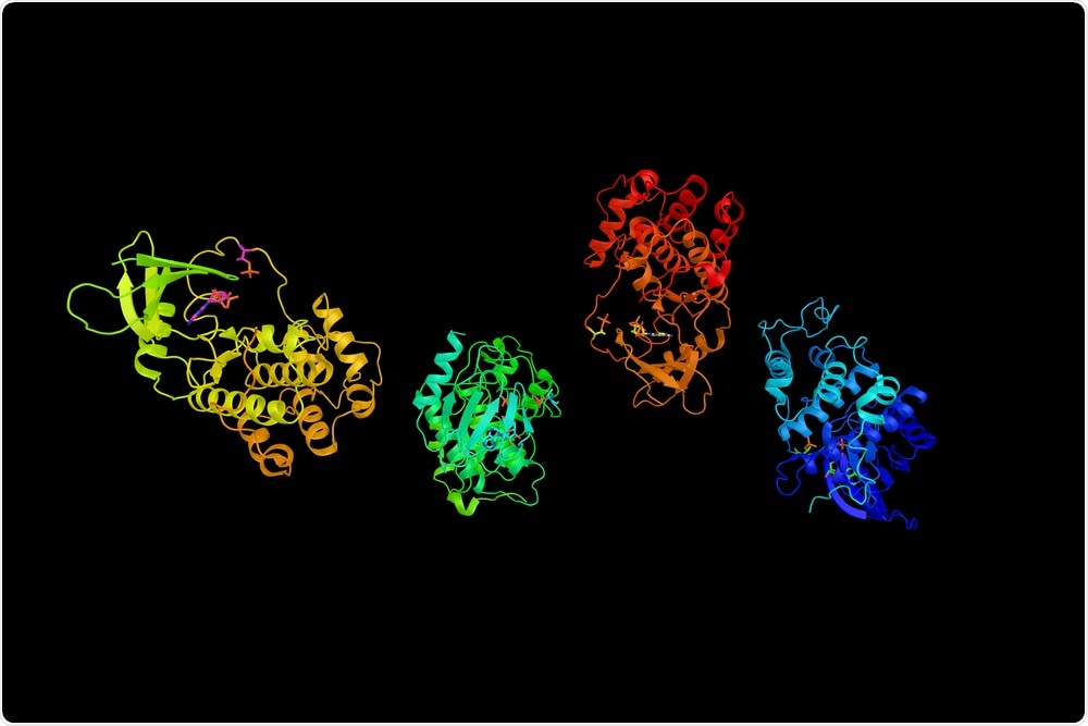 Cyclin-Dependent Kinase 7