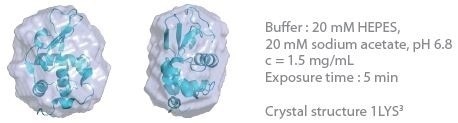 3D envelope from a lysozyme solution (Mw = 14.3 kDa).