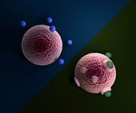 Study shows how microplastics are internalized into living cells