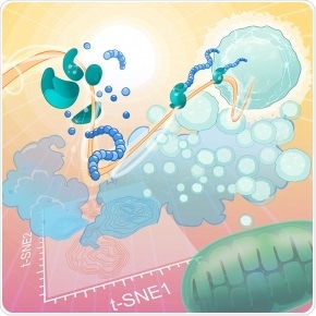 New patented technique reveals the energy status of cells