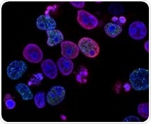 Novel compounds may lead to potential treatment for rare terminal childhood illness