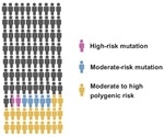 New genomic tool can accurately assess the risk of breast cancer