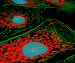 Advantages and Limitations of Fluorescence Microscopy