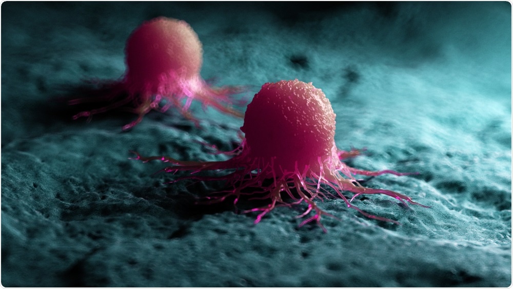 Cancer Cells Cancer Cells