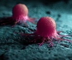 Study identifies a promising target for cancer treatment