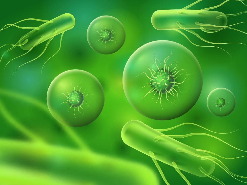 plant bacteria