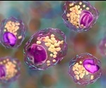 What is Macrophage Polarization?