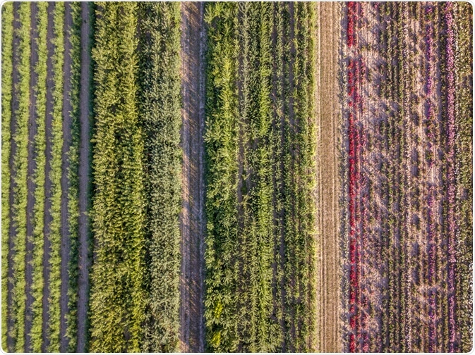 Crop Diversity Crop Diversity