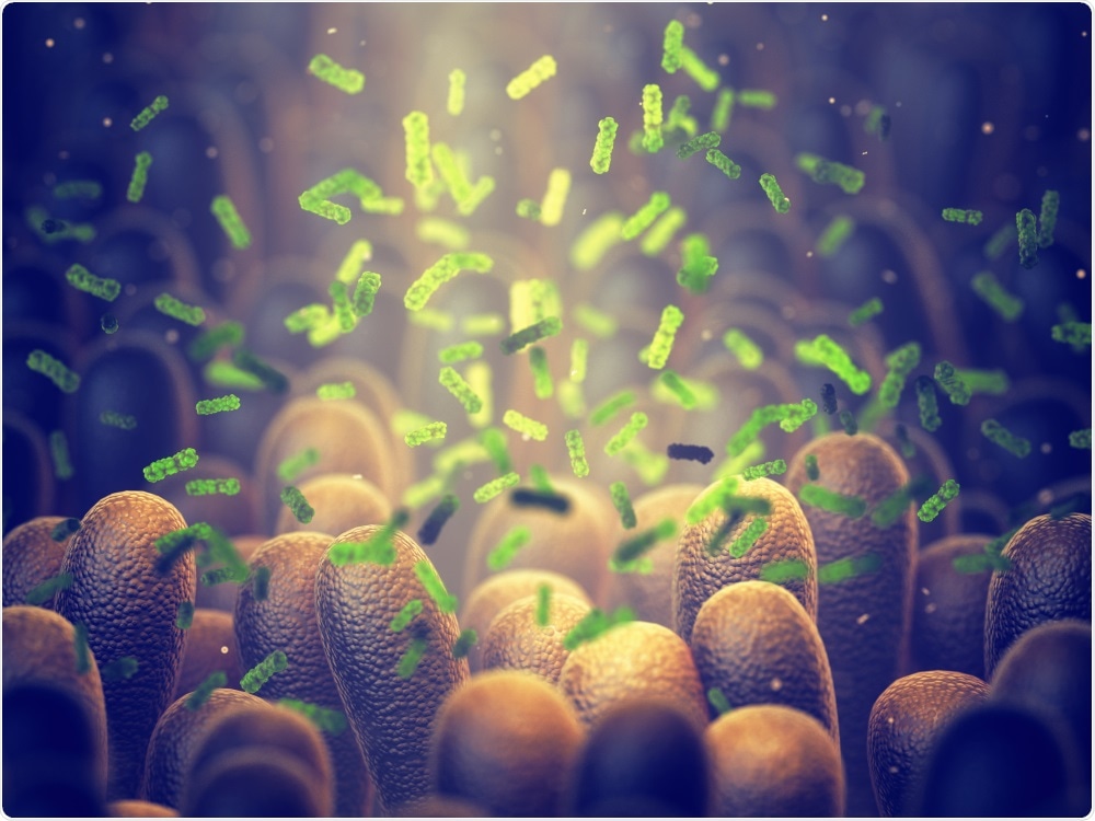 Gut Microbiome Gut Microbiome