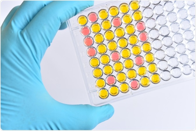 Assay Assay