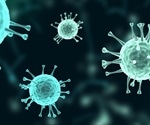 Novel amplification-free rapid SARS-CoV-2 nucleic acid detection platform based on HC-FIA