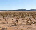 How Diverse are Cropping Systems?