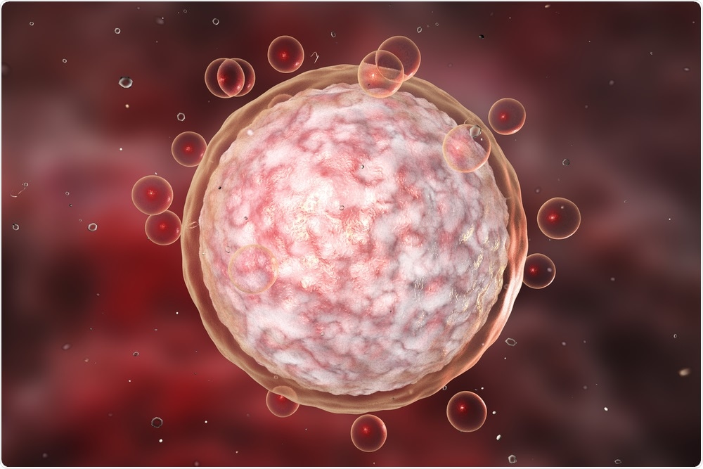 Female human egg cell