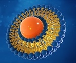 What is Immunoliposome Therapy?