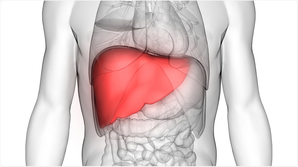 Liver Liver