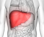 Using genetic engineering to grow synthetic livers